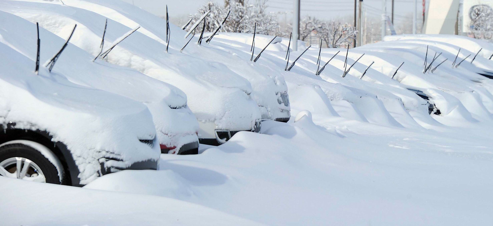 Snowy dealership lot